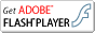 Macromedia Flash-Player Download